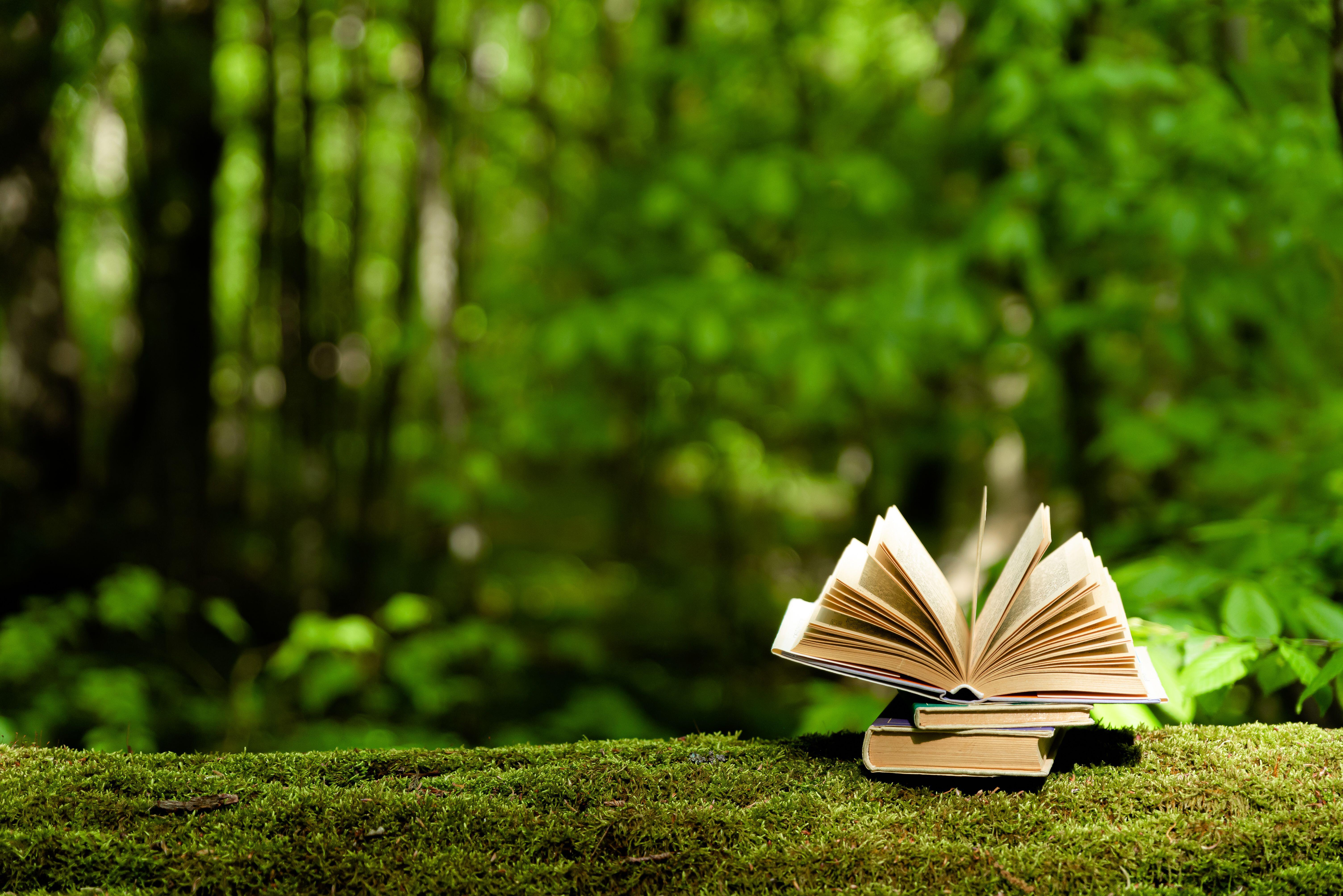 An open book rests on a moss-covered surface with a blurred green forest background,